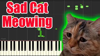 Sad Cat Meowing but its MIDI Auditory Illusion  Sad Cat Meowing Piano sound [upl. by Rise815]