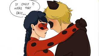 Married Ladynoir AU Miraculous Ladybug Comic Dub [upl. by Ennaerb]