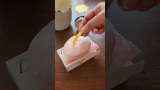 Dove Pink Beauty Bathing Bar pH TestMust Watch Before You BuyDove Soap Live pH Testing [upl. by Badger]