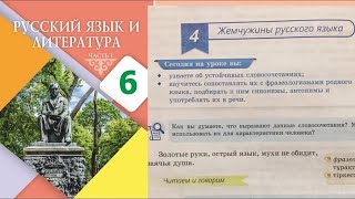 Русский язык 6 класс 4 Урок Жемчужины русского языка Орыс тілі 6 сынып 4 Сабақ Стрбет 21 22 23 [upl. by Guido]