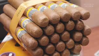 Why Cuban Cigars Are So Expensive  So Expensive [upl. by Calisa]