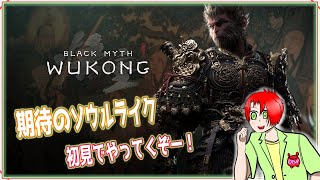 【Black Myth Wukong黒神話：悟空】 14：最後の戦い [upl. by Tavish513]