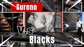 SURENO VS BLACKS IN JAMESTOWN USP RIOT [upl. by Yhtamit]