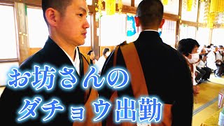 大本堂満員の身延山久遠寺と色んな人が集まるお寺の日常 [upl. by Avan]