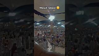 masjid nabawi islamic videos [upl. by Ahsino]