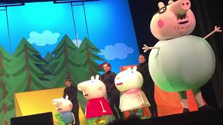 Peppa pig LIVE  bing bong song [upl. by Elyrehc]