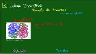 Sistema Respiratório  Reações da Hematose  Aula 1 [upl. by Veronike]