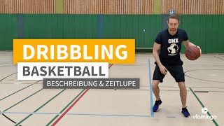 DRIBBLING im Basketball Bewegungsbeschreibung Technik amp Zeitlupe [upl. by Anyek]