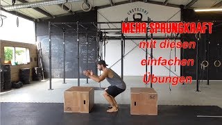 SPRUNGKRAFTTRAINING  Lerne höher zu springen  Übungsfolge [upl. by Zaller]