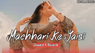 Machhari Ke Jaisi Tadpe Jawani Lofi Song  Slowed X Reverb  Bhojpuri Song  Dk Slowed Music [upl. by Birkett]