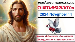 ശുദ്ധീകരണാത്മാക്കളുടെ വണക്കമാസം Souls in Purgatory November 11 [upl. by Sainana]