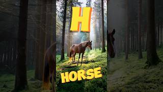 H for Horse  wonderjoyland horse hforhorse kidsentertainment aianimation animation ai [upl. by Giza]