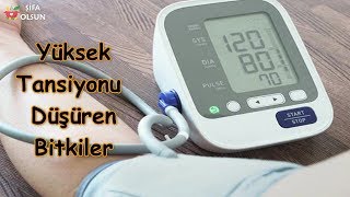 Yüksek Tansiyonu Düşüren Bitkiler Nelerdir [upl. by Pavkovic]