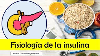 🔴 FISIOLOGÍA DE LA INSULINA [upl. by Symer]