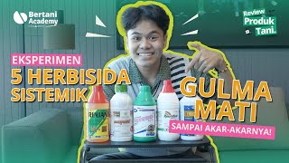 Review Herbisida Paling Ampuh Dijamin Gulma Mati Total [upl. by Adikram]