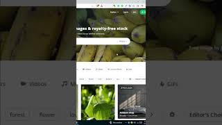 How to download images from pixabay free ©🔥😮 pixabay copyrightfree imege [upl. by Ytrebil]