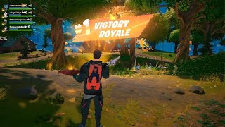 Fortnite 5 Victory crowns in fortnights [upl. by Ilram]