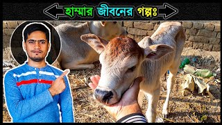 হাম্মাকে বাঁচানোর ঘটনা 🔥 গরুর বাছুরের জন্মের গল্প ⚡ Jactok পাখি ভাইয়া [upl. by Crow]