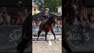 Working Equitation 🇵🇹lusitano Isco amp Mafalda Mendes 2024 Golegã horse equitation equestrian [upl. by Boser]