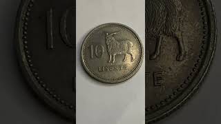 How rare is the 1979 Lesotho 10 Lisente coin coin shrots rarecoins USATODAY southafrica [upl. by Oregolac]