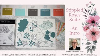 Stippled Roses Bundle with Softly Stippled DSP  An introduction [upl. by Whitebook]