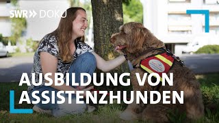 Zurück ins Leben  mein Hund als Helfer  SWR Doku [upl. by Sparkie]