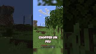 PETIT FERS  gamingfrance minecraft minecraftfr youtubefrance [upl. by Phina]