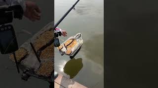 Bro，be generous when fishing fishing carpfishing boatman baitboat bassfishing bait boat [upl. by Loy111]