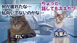 歯科衛生士の平和な日常【歯医者】【猫ミーム】【猫マニ】【仕事】 [upl. by Mich]