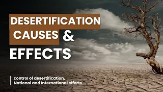 Desertification Causes Effects and Global Solutions [upl. by Enelcaj]