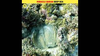 Miracle Quran In Deep Ocean 😱 shorts [upl. by Amluz]