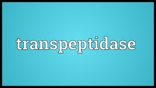 Transpeptidase Meaning [upl. by Dnilazor]