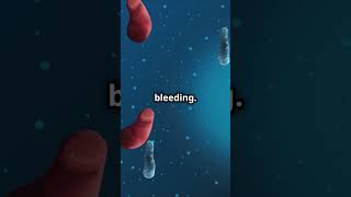 The Normal Blood Clotting Process Explained bloodclotting process explained shorts trending [upl. by Bourne]