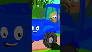 Five Little Oranges shorts nurseryrhymes mrbaby cartoonvideos learningvideos [upl. by Fairleigh564]