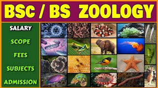 BSc Zoology  BS Zoology  Salary Scope Fees Subjects and Admission Criteria of BSc Zoology BS [upl. by Darell]