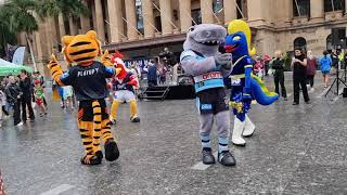 NRL Mascots at King George Square Brisbane for Magic round opening 2024 [upl. by Krahling]