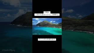 空から見るハワイ オアフ島の絶景ハイライト shorts ハワイ hawaii [upl. by Tilly]