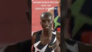 5000M World Record  Joshua Cheptegei 123536 shorts [upl. by Philine]