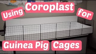 Cutting amp Scoring Coroplast for Guinea Pig Cage [upl. by Yrolg]