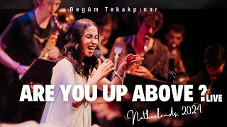 Begüm Tekakpınar  Are You Up Above   Live Performance Netherlands 2024 [upl. by Alphonso418]