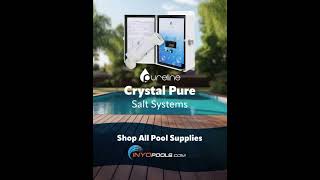 Pool People Customer Review of Purelines Salt System [upl. by Ahsilem568]