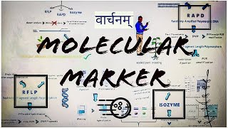 Molecular Markers DNA Markers  Types uses and Applications in Hindi [upl. by Alphonsine915]