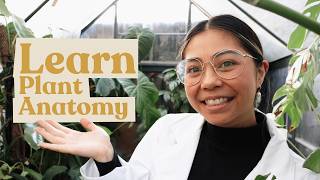 Lets Learn Plant Anatomy  Plant 101 [upl. by Etteb]