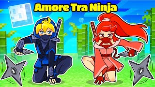 SE SBRISER NINJA AMASSE ZOE NINJA Su Minecraft [upl. by Einoj]