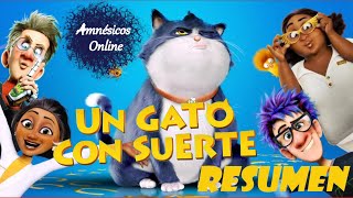 Un Gato con Suerte Resumen 2024 10 Lives Resumen 2024 [upl. by Slater]