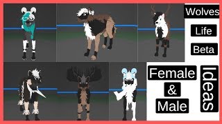 Roblox  Wolves Life Beta  Regular Female amp Male Wolf Ideas [upl. by Hailey]