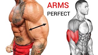 Best Bicep and Tricep Workout for WIDER ARMS Perfect [upl. by Yslek]