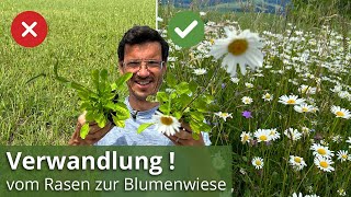 MEINE TOP TIPPS ➡️ So verwandelst du den Rasen in eine Blumenwiese Initialbepflanzung [upl. by Ydnam738]