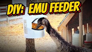 DIY Building an animal feeder from scratch [upl. by Niliram]