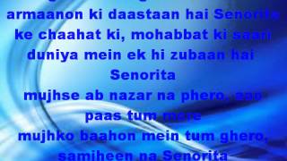 Senorita  Zindagi Na Milegi Dobara Lyrics [upl. by Ialokin]